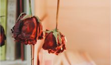 祝男士的生日祝福