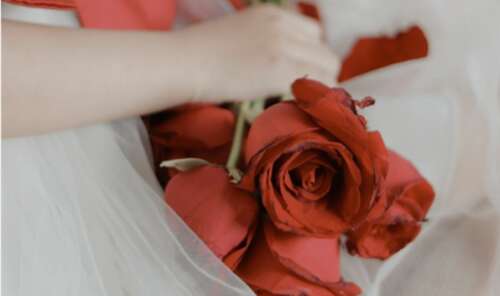 TikTok受欢迎的生日短语TikTok受欢迎的生日问候1