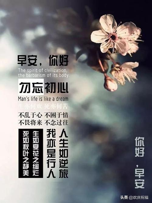 适合在瞬间发送肯定的句子