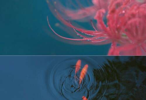 适合所有情绪的简短句子