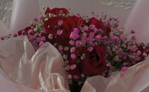 豆阴超辣的爱情句子适合与目标人温柔交谈