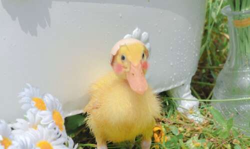 发送深入的朋友圈，有吸引力的朋友们讲故事2