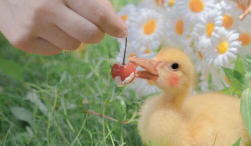 发送深入的朋友圈，有吸引力的朋友讲故事