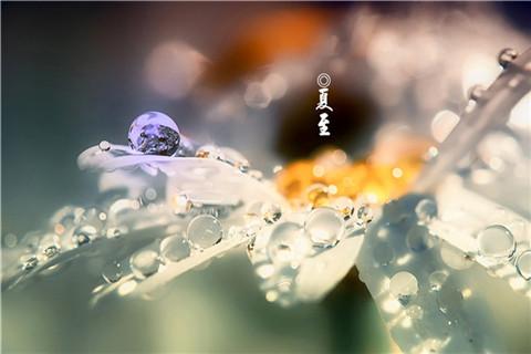 2020年夏至谈朋友圈