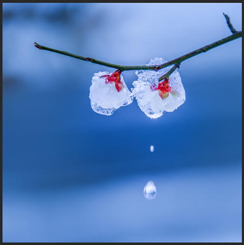 从冬天到春天的美丽诗句