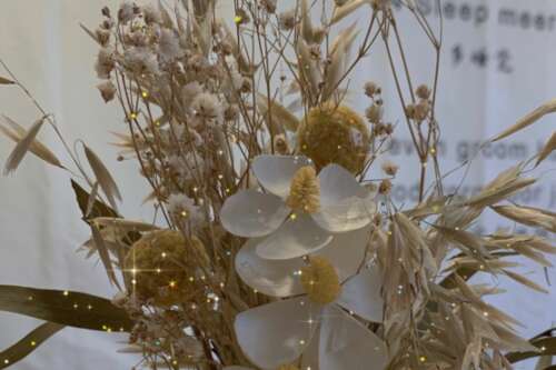 温柔的文案有关冬天的可爱和温暖的句子