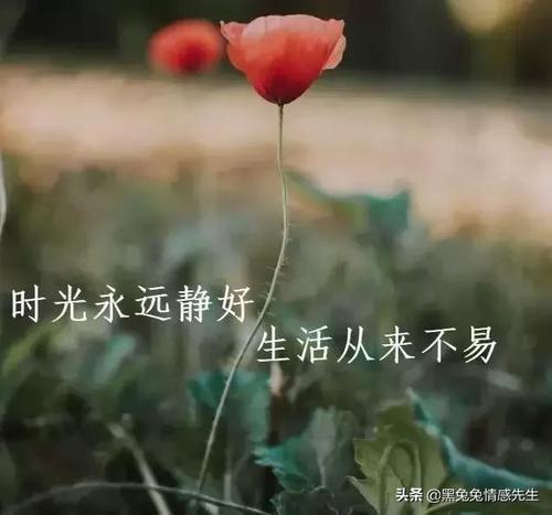 在片刻中发送情感句子