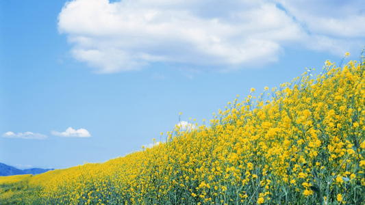 姐妹们聚在一起的快乐心情短语姐妹们聚在一起2
