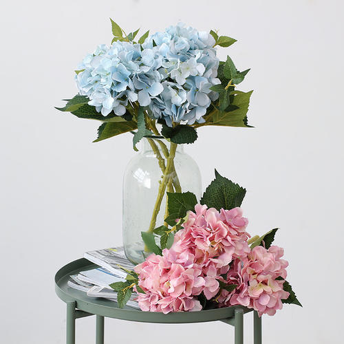 姐妹们聚在一起的一句话快乐的心情短语姐妹们聚在一起1