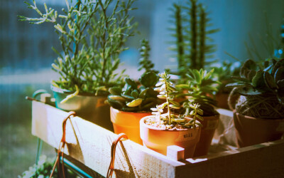 高情商的单词让女孩开心的句子让女孩开心2