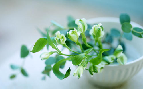 描述快乐心情的句子简短描述快乐心情的句子