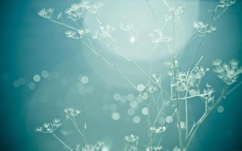 每天快乐的句子每天快乐的经典短句2