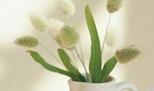 逗女孩开心的句子 高情商哄女孩子开心的话