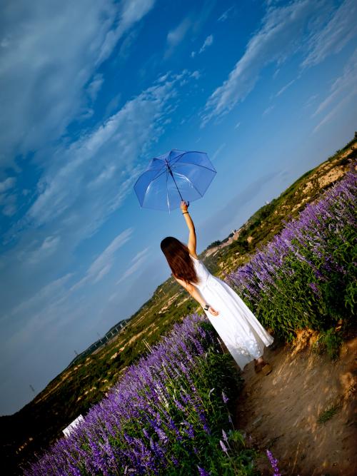 每天快乐的句子每天快乐的经典短句