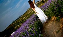 祝每天开心的句子 祝每天开心的经典短句