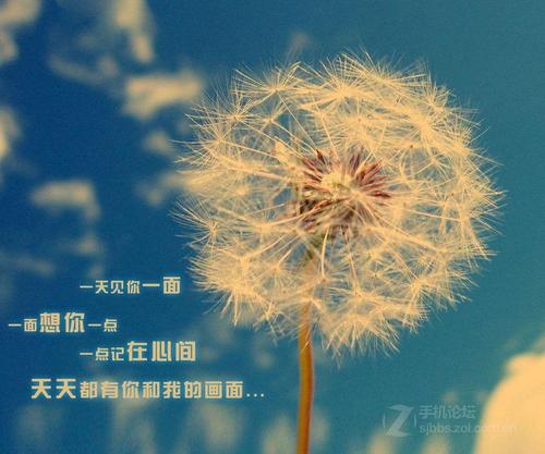 关于不快乐的句子关于不快乐的句子1