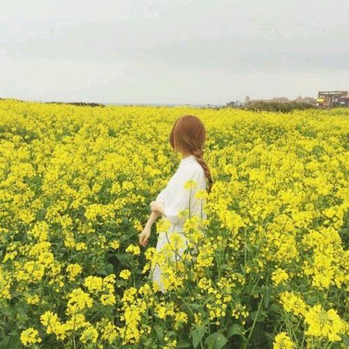 使秋天快乐的句子美丽使秋天快乐的句子