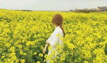 秋天让人开心的句子 秋天让人开心的唯美句子