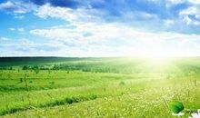 爱情经典金句留言