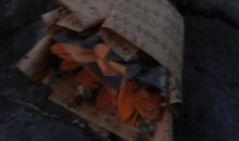 压力大的经典句子