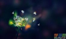 个性签名表达爱意