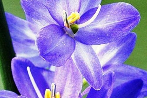 微信片中的创意句子