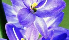 微信朋友圈有创意的句子