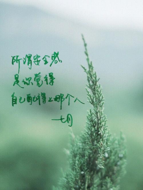 非常动人和令人心动的句子颤音