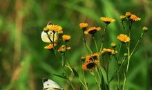 最新微信朋友圈经典说说心情短语