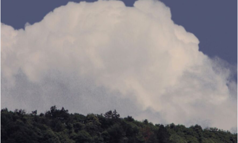 突然看到一切,然后说话1