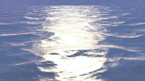 突然看到一切,然后说话2