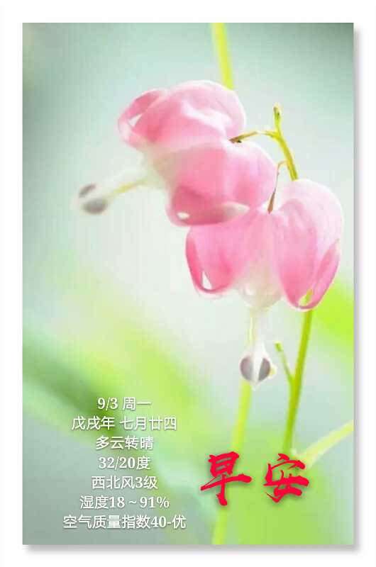 八月给自己的祝福