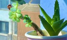 励志短句霸气致自己