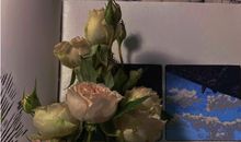 野性霸气干净社会句子