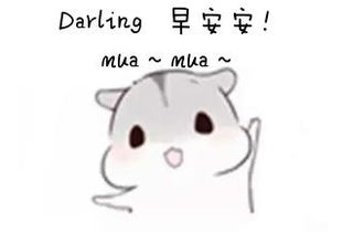 对女友说早安甜言蜜语