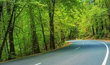 选择了一条路 那就纯粹到底