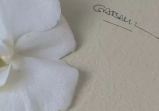 非常无忧无虑的短语