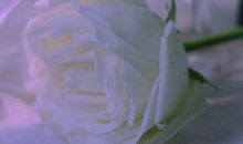 让对方看到心疼的句子 句句痛心