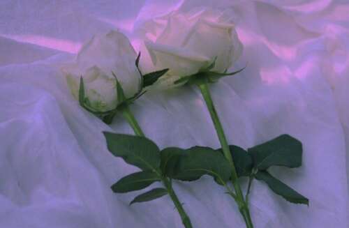 让其他人看到痛苦的句子，每个痛苦的句子1