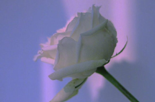 让其他人看到痛苦的句子，每个痛苦的句子2