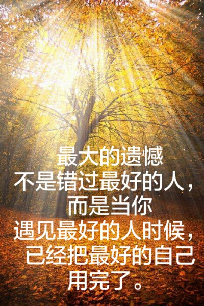 表示遗憾的古代经文