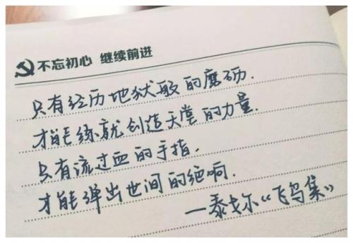 有趣的句子最近在豆阴很流行