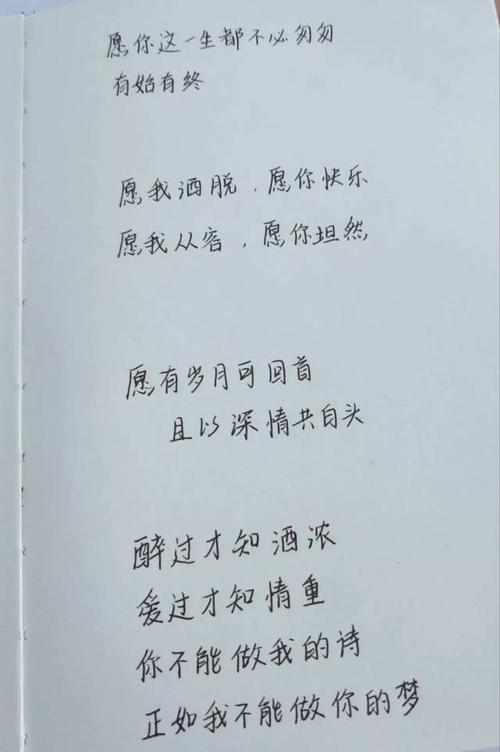 爱情诗失踪的女朋友