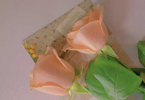 假期快结束的文案