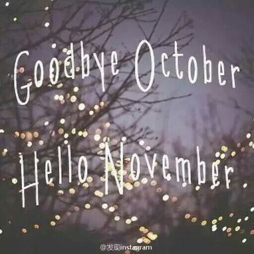 谈谈11月1日的心情愉快