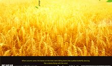 十一月你好文字图片