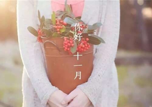 十一月你好美丽的文字