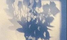 女人致最好的自己的句子