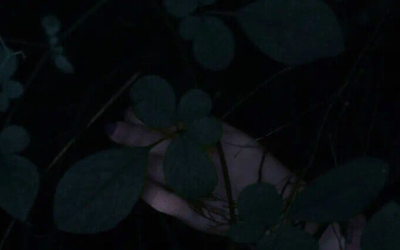 谈论悲伤的简短句子非常受欢迎1