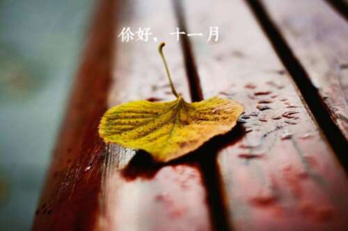 你好十一月与图片2